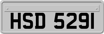 HSD5291