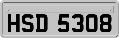 HSD5308