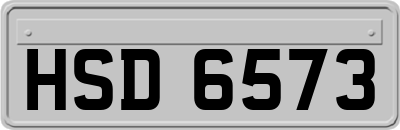 HSD6573