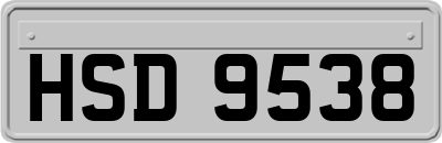 HSD9538
