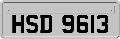HSD9613