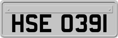 HSE0391