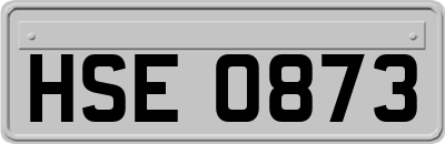 HSE0873