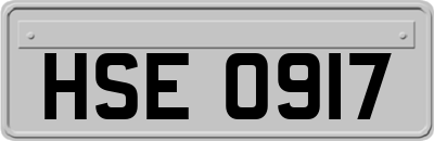 HSE0917