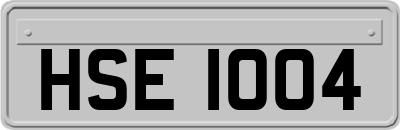 HSE1004