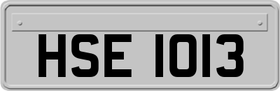 HSE1013