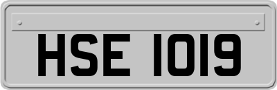 HSE1019