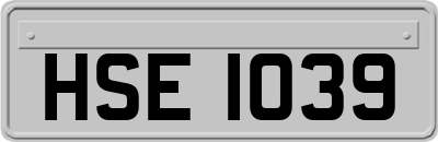 HSE1039