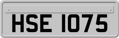 HSE1075