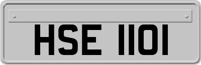 HSE1101