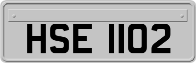 HSE1102