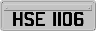 HSE1106