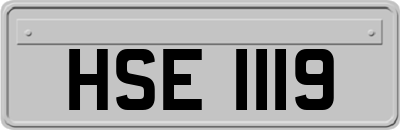 HSE1119