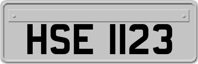 HSE1123