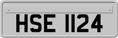 HSE1124