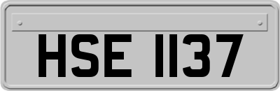 HSE1137