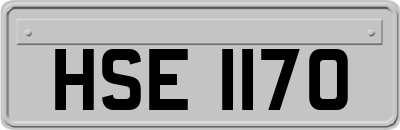 HSE1170