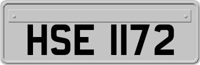 HSE1172