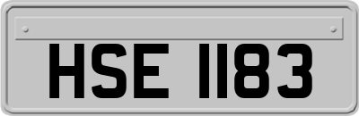 HSE1183