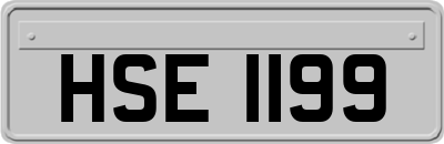 HSE1199