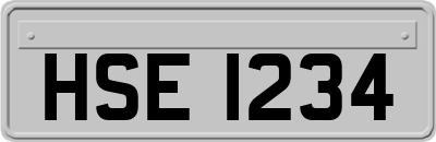 HSE1234
