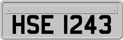 HSE1243