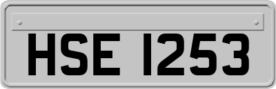 HSE1253
