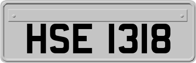 HSE1318