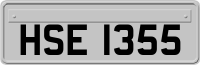 HSE1355