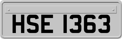 HSE1363