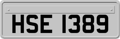 HSE1389