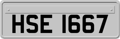 HSE1667