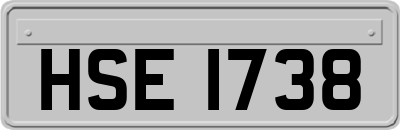HSE1738