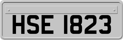 HSE1823