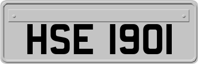 HSE1901