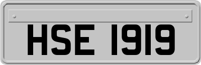 HSE1919
