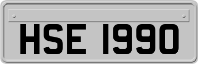 HSE1990