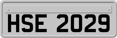 HSE2029