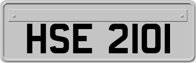 HSE2101
