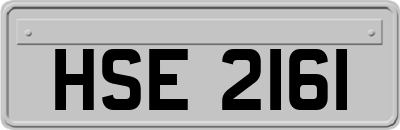 HSE2161