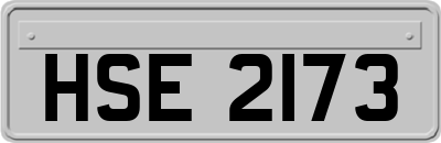 HSE2173