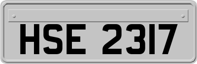 HSE2317