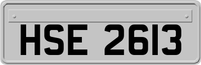 HSE2613