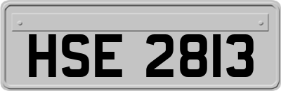 HSE2813