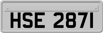 HSE2871