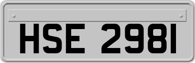 HSE2981