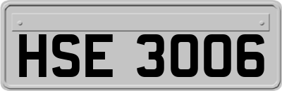HSE3006