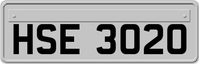 HSE3020