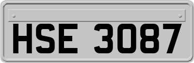 HSE3087
