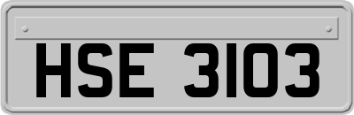 HSE3103